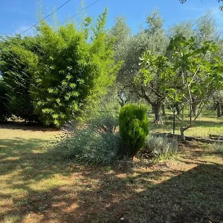 شقة Katja Štinjan