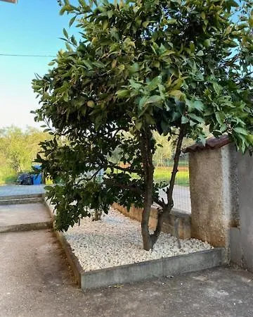 Διαμέρισμα Katja