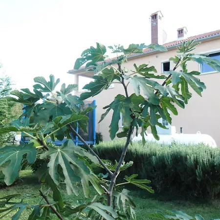 Apartament Katja Štinjan