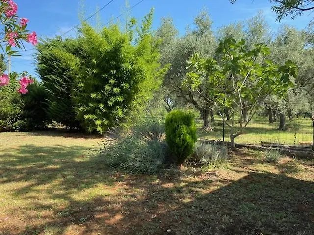 아파트 Katja 스틴잔