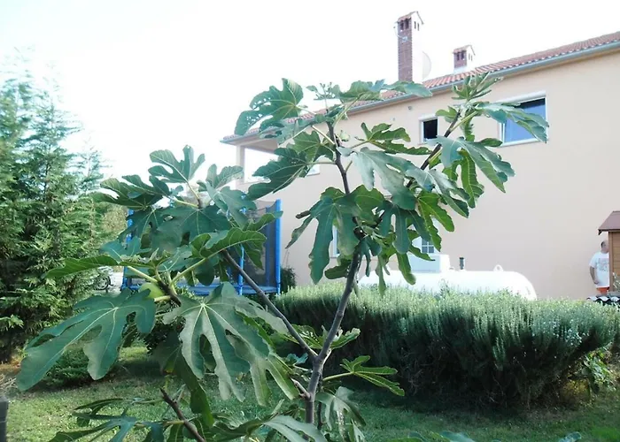 Appartement Katja Štinjan